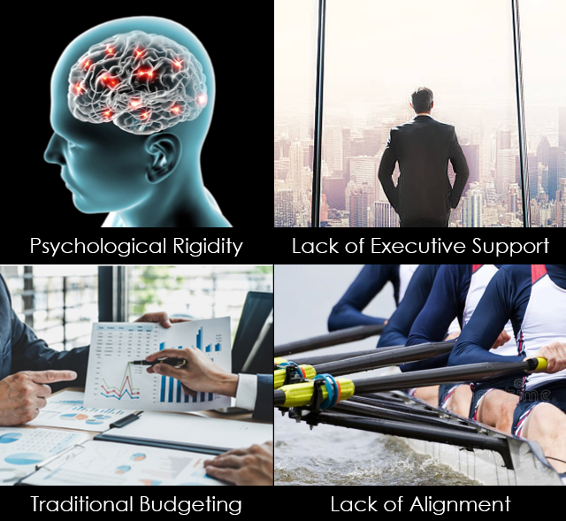 Agile Transformation Failure Reasons